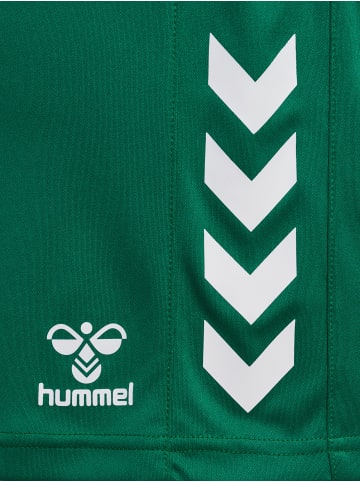 Hummel Verstellbare Taille Kurze Hose Hmlcore Damen in EVERGREEN
