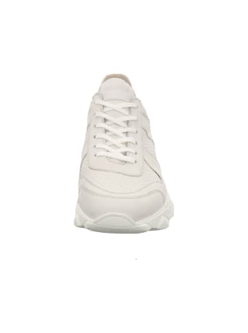 Froddo Sneaker in rot