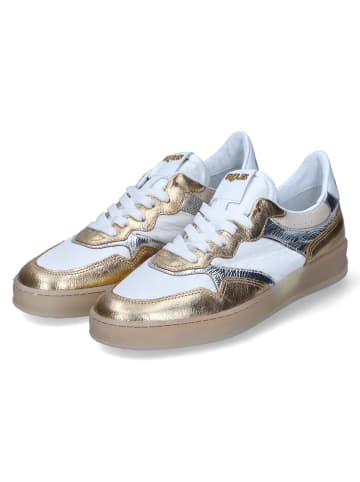 MJUS Low Sneaker LATTE ARGENTO ORO in Gold