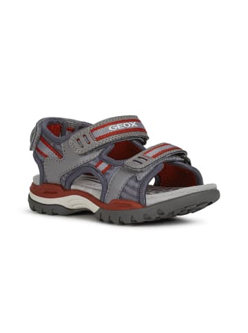 Geox Sandalen in Grau/Rot