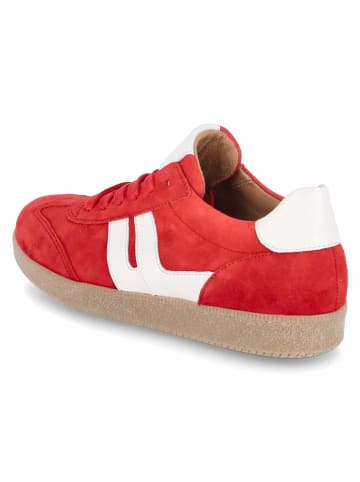 Gabor Low Sneaker in rot