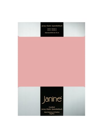 Janine Spannbettlaken Jersey Elastic in zartmauve