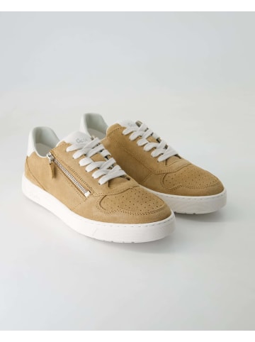 Sioux Sneaker low in Beige