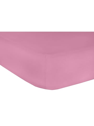 GMD Living Spannbetttuch ELASTAN CLASSIC in Rosa