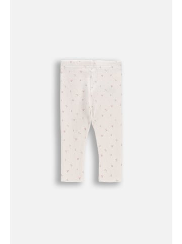 Coccodrillo Durchbrochene Leggings mit langem Bein in ecru