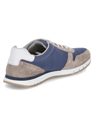 Gabor Sneaker Low in Blau