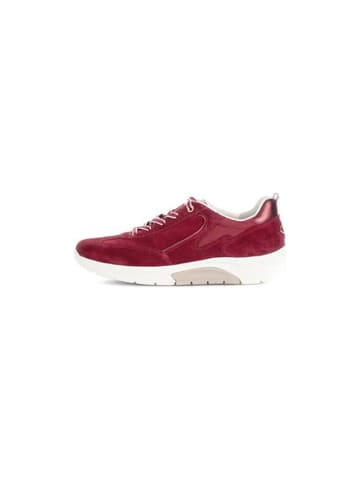 Gabor Schuhe in bordo
