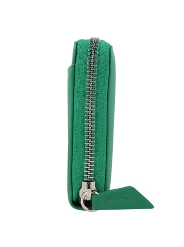 Braun Büffel Joy Geldbörse RFID Schutz Leder 19 cm in fern green