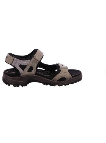 Ecco Outdoorsandalen für Herren in grün