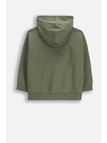 Coccodrillo Baumwoll-Cardigan in grün