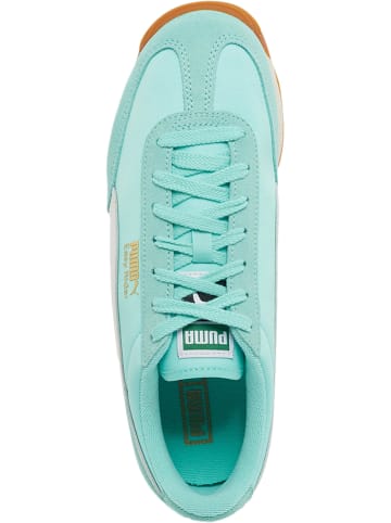 Puma Puma Turnschuhe in midnight plum/white