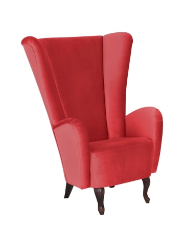 others HOCHLEHNSESSEL Kailey Bezug Samtvelours Buche nussbaum dunkel / rot