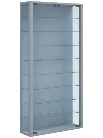 VCM  Wandvitrine Hängevitrine Glasvitrine Vitrosa Maxi in Silber