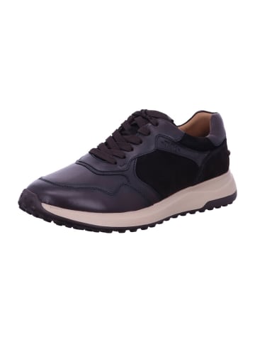 Tamaris Sneaker in MOCCA