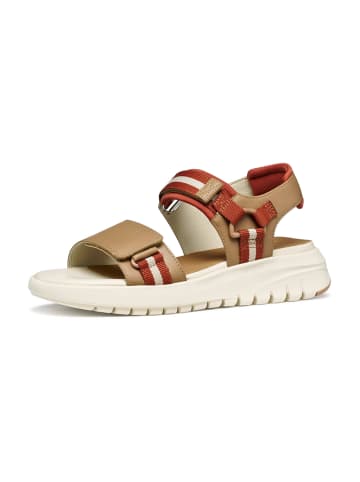 Geox Trekkingsandalen in Beige