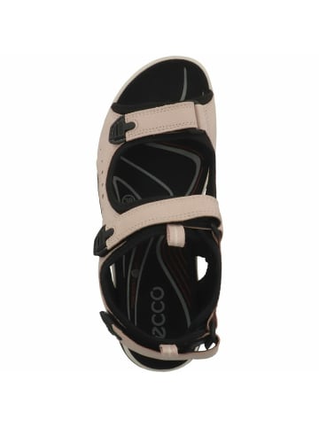 Ecco Komfort Sandalen für Herren in beige