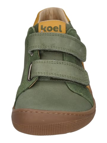 KOEL Sneaker Low KOBI W  in grün