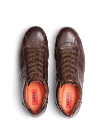 LLOYD Schuhe Sneaker in BRAUN