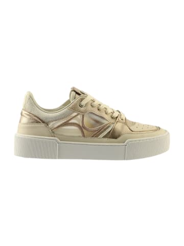 Högl Sportliche Schnürschuhe in Beige