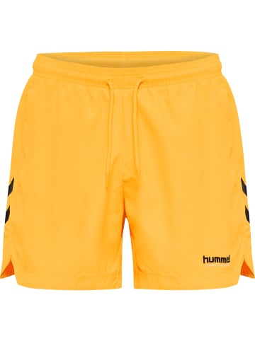 Hummel Hummel Board Kurze Hose Hmlned Wassersport Erwachsene in ORANGE POP