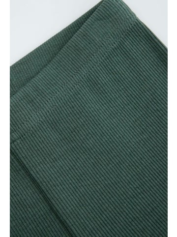 Coccodrillo Rippstrumpfhosen mit langen Beinen in grün