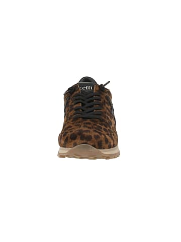 Cetti Sneaker low C-1259 SRA in Braun