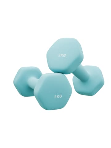 SONGMICS 2er-Set: Hanteln Stefan in Blau - (B)8 x (H)7.5 x (T)16 cm