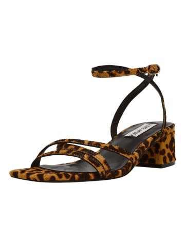 Steve Madden Sandalen in Leopard