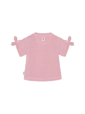 Noppies T-Shirt in Poinsettia