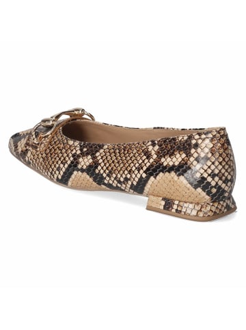 Högl Ballerina in braun