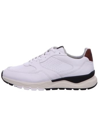 Floris van Bommel Schnürschuh in weiß