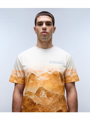 Napapijri T-Shirt "S-Dunnern Ss" in Multicolor