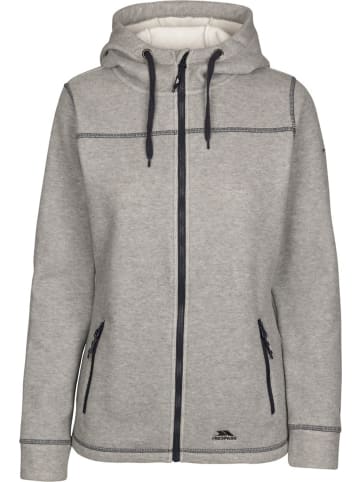 Trespass Fleecejacke/Fleecepullover "Runpal Fleece At400" in Grau