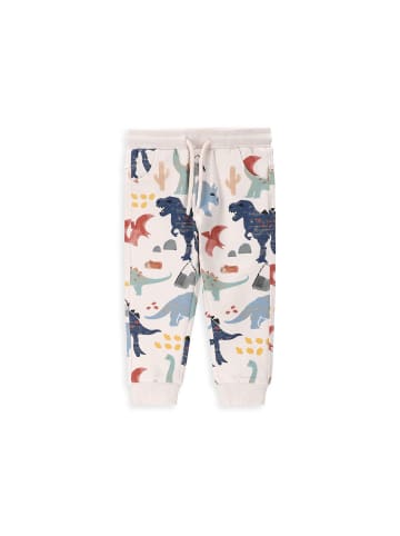 Coccodrillo Sporthose in grau