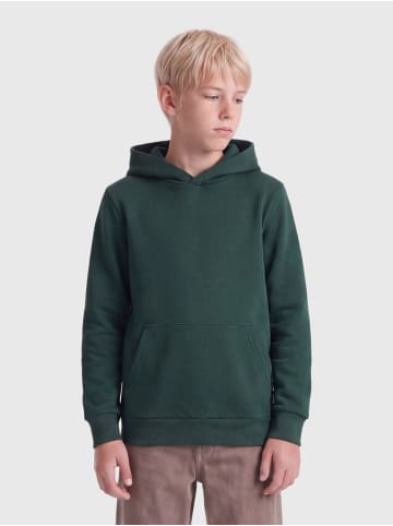 ONLY & SONS Junior Kapuzenpullover in Pine Grove 1