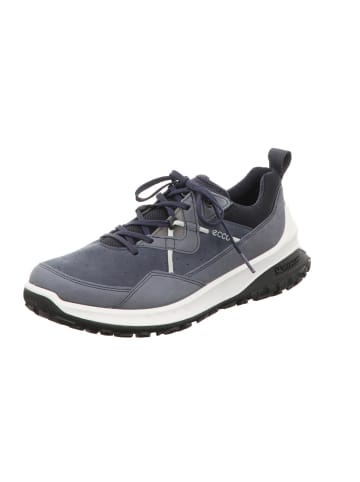 Ecco Sneaker in grau