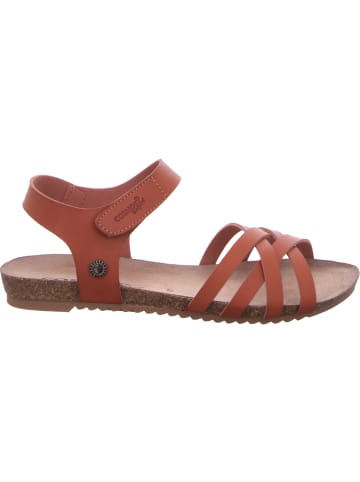 Cosmos Comfort Sandale in braun
