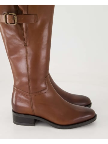 Terry Klassische Stiefel in Braun