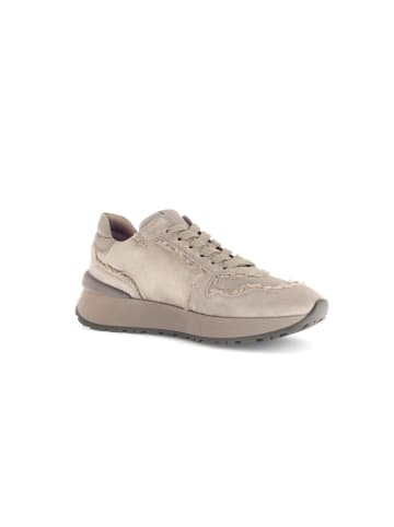 Gabor Sneaker low in beige