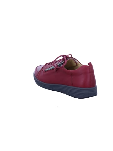Ganter Sneaker Low in rot