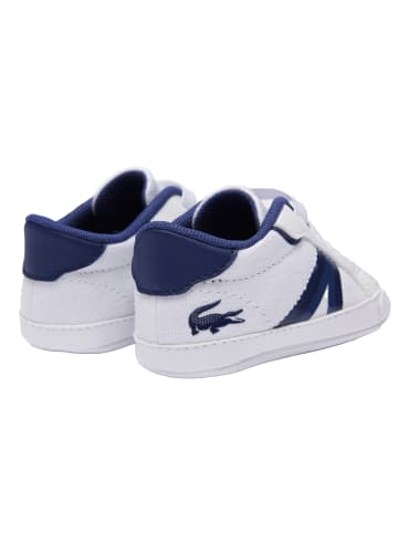 Lacoste Krabbelschuhe in Weiß/Blau