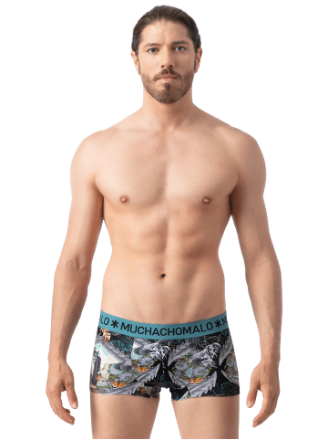 Muchachomalo 4er-Set: Boxershorts in Multicolor