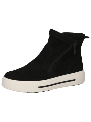 Caprice Stiefelette in BLACK SUEDE