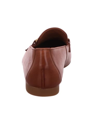 Paul Green Slipper in braun