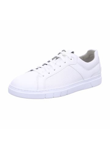 Gabor Sneaker für Herren in uni