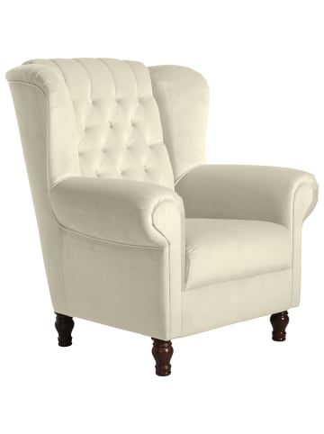 58 aufm Kessel OHRENBACKENSESSEL Katreen Bezug Samtvelours Buche nussbaum dunkel / creme