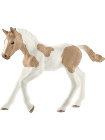 Schleich Paint Horse Fohlen in Mehrfarbig ab 5 Jahre