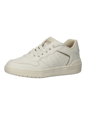 Geox Sneaker in Ivory