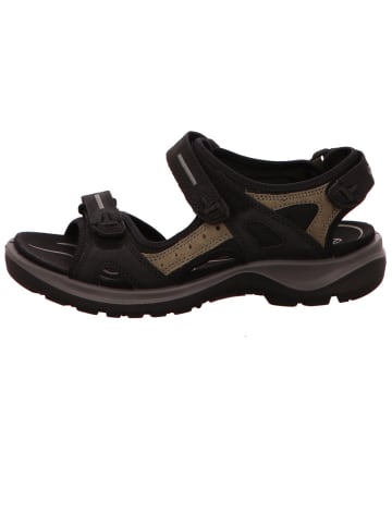 Ecco Sandalen/Sandaletten in schwarz