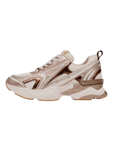 Steve Madden Sneaker in Weiß/Gold